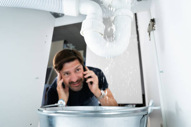 Best Drain Cleaning Services  in Cridersville, OH